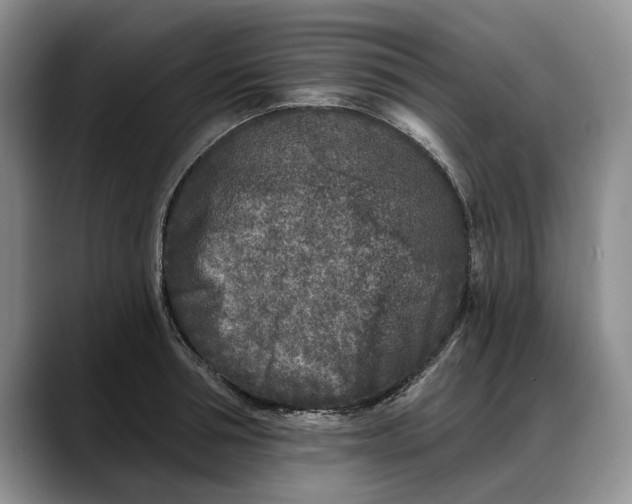 X0000088220994200705292110