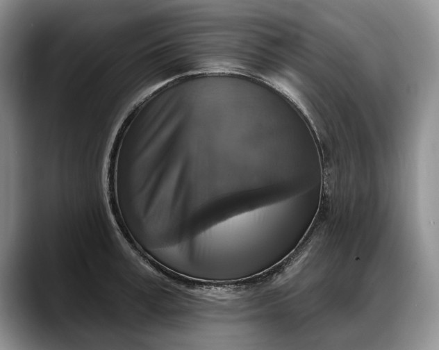 X0000088220995200705292110