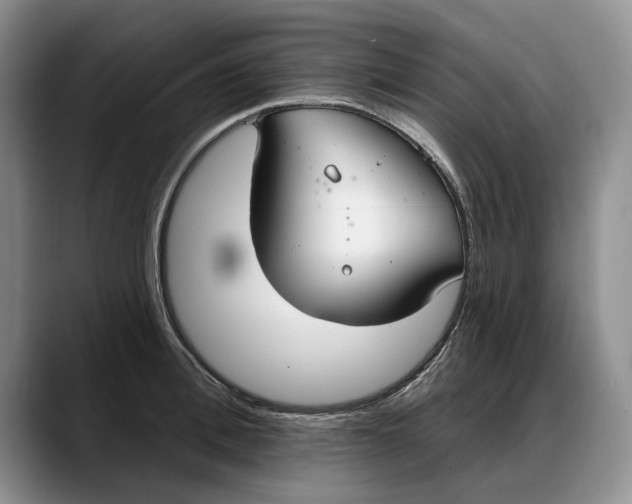 X0000088220996200705292110