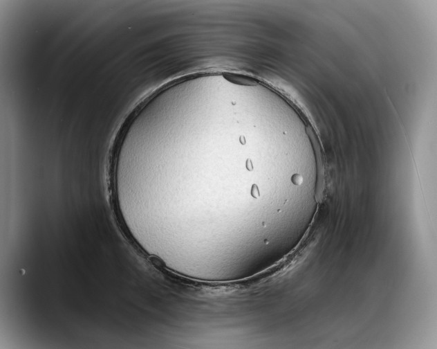 X0000088220997200705292110