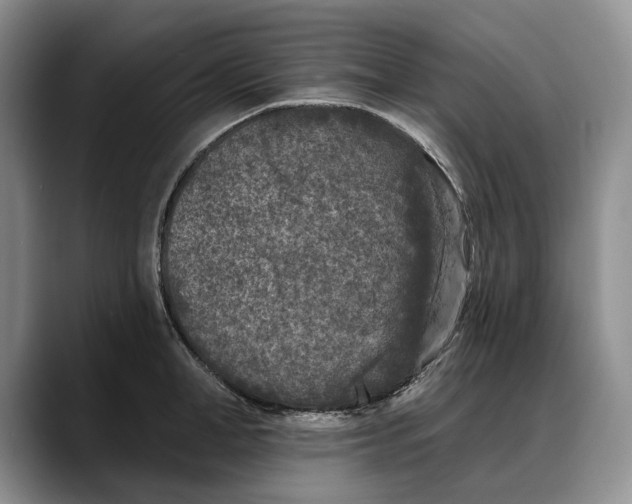 X0000088220998200705292109