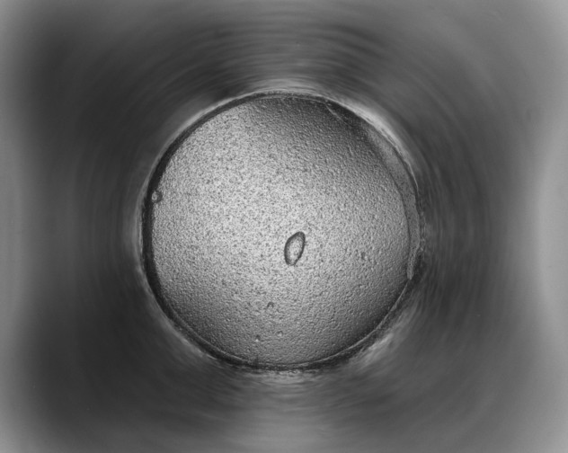 X0000088220999200705292109