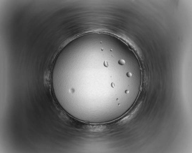 X0000088221001200705292109