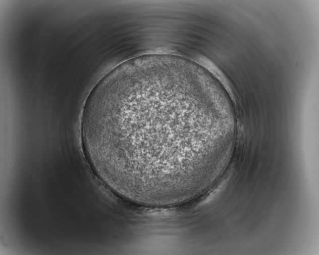 X0000088221002200705292109