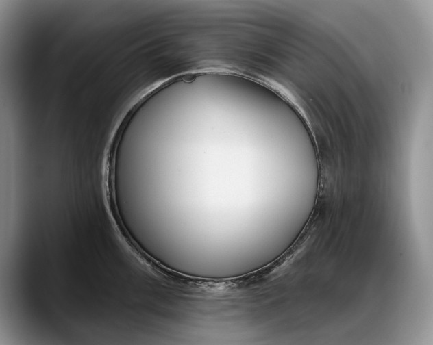 X0000088221003200705292109