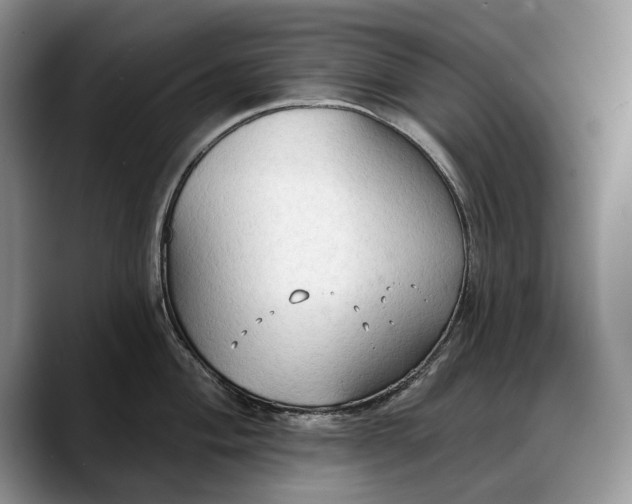 X0000088221004200705292109