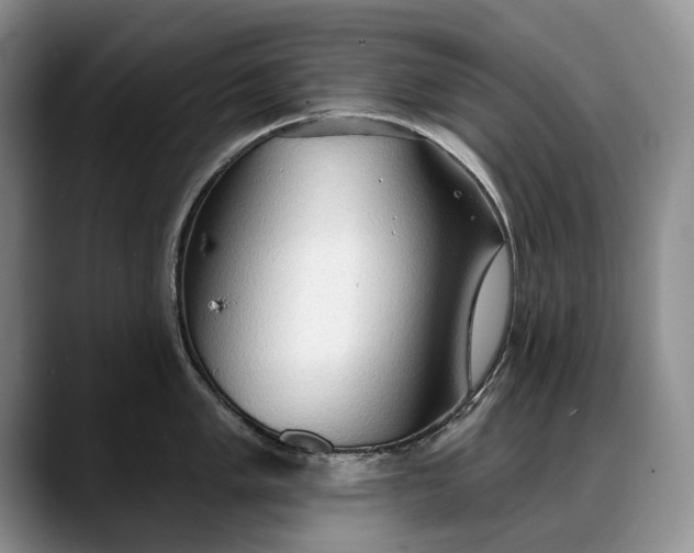 X0000088221005200705292109