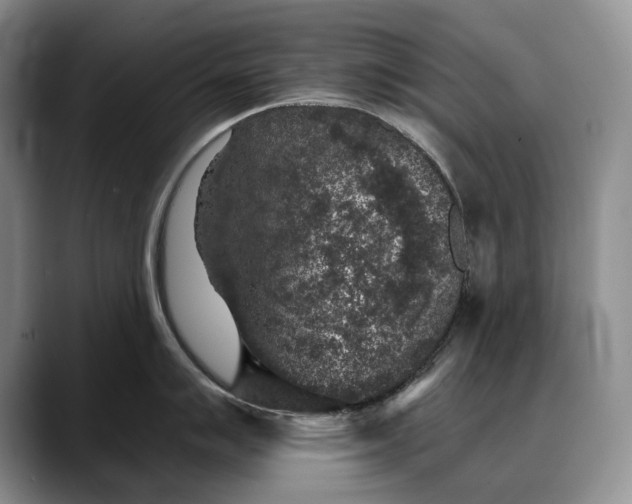 X0000088221007200705292109