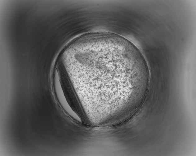 X0000088221008200705292109