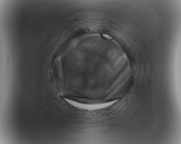 X0000088221009200705292109