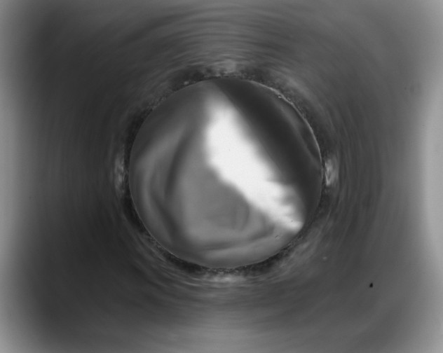 X0000088221011200705292109