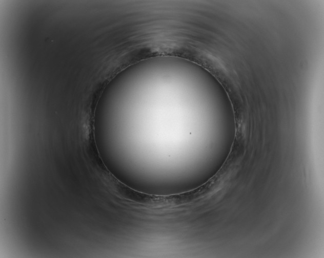 X0000088221012200705292109