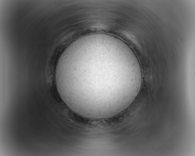 X0000088221015200705292109