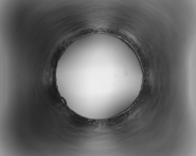 X0000088221016200705292109