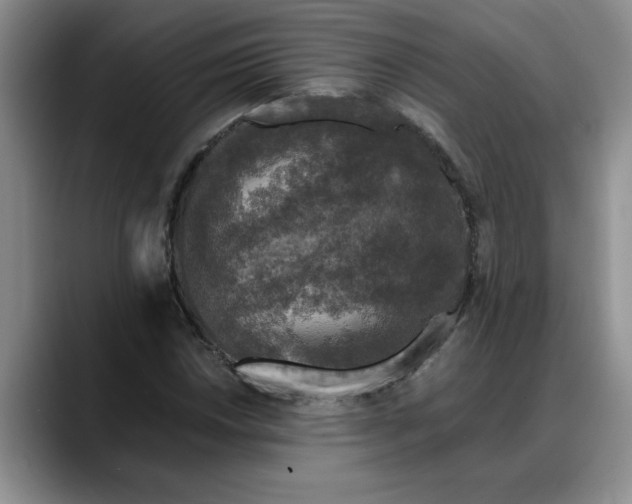 X0000088221018200705292109