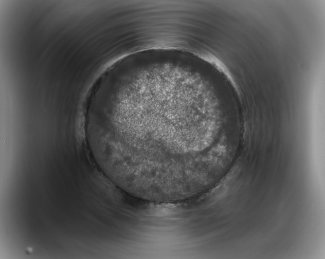 X0000088221019200705292109