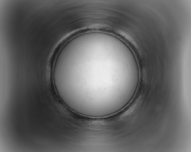 X0000088221021200705292109