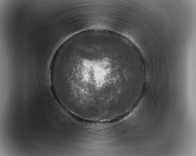 X0000088221022200705292109