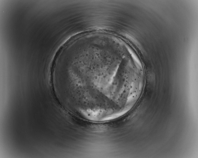 X0000088221023200705292109