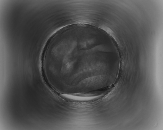 X0000088221024200705292109