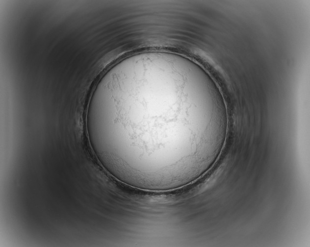 X0000088221025200705292109