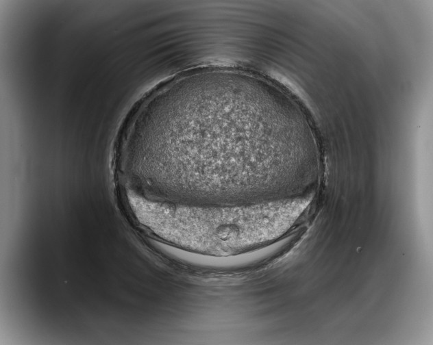 X0000088221026200705292109