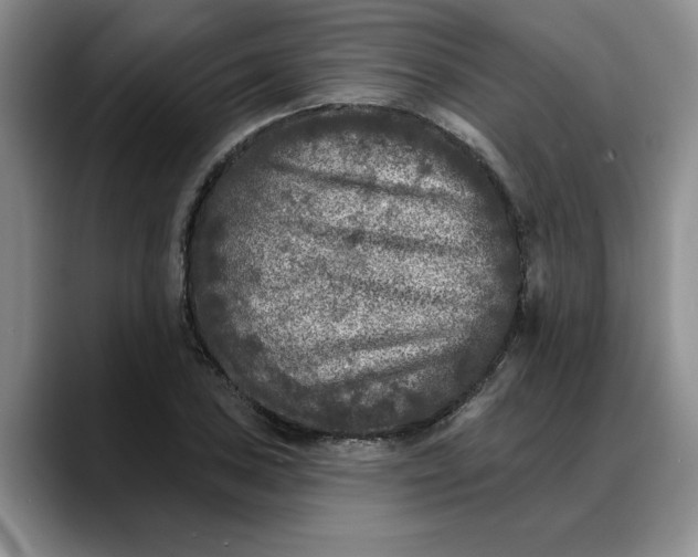 X0000088221027200705292109