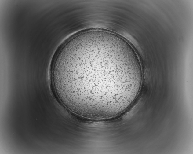 X0000088221028200705292109