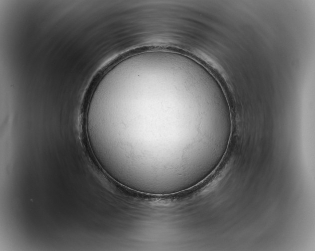 X0000088221029200705292109