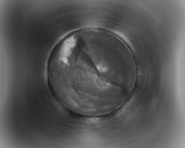 X0000088221031200705292109