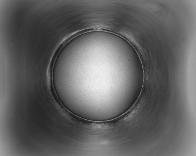 X0000088221032200705292109