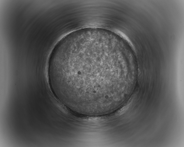 X0000088221035200705292109