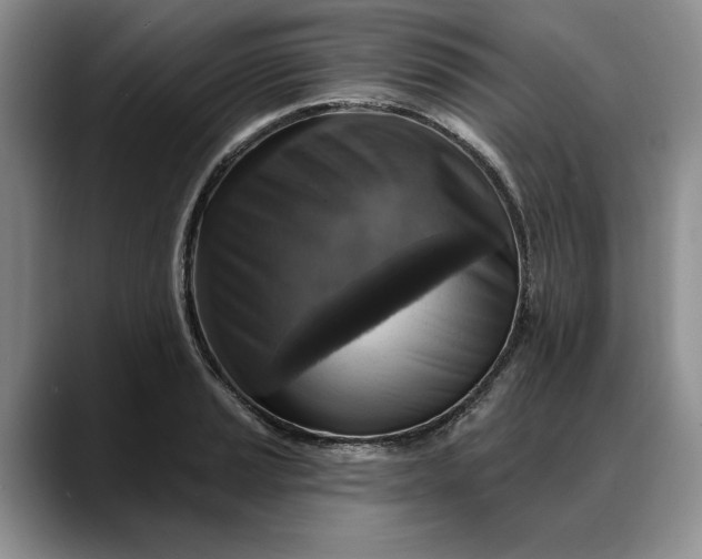 X0000088221037200705292109