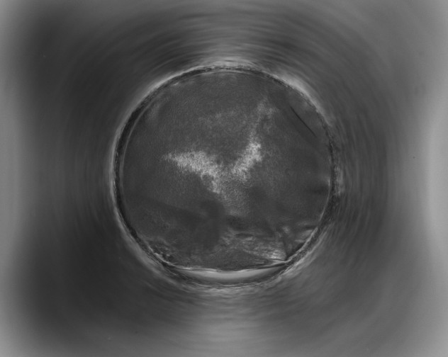 X0000088221038200705292109