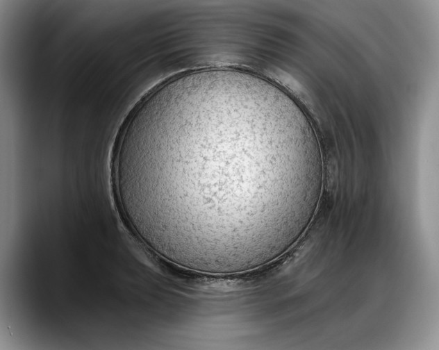 X0000088221039200705292109