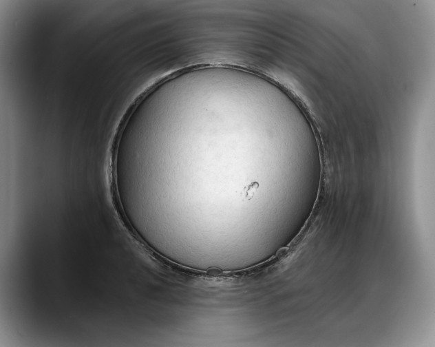 X0000088221040200705292109