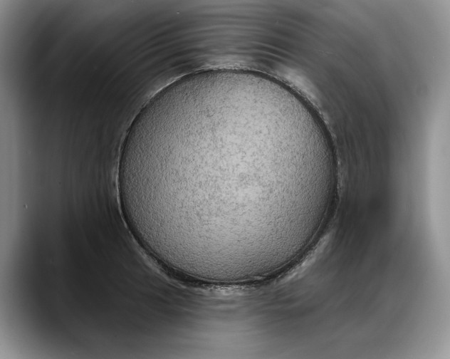 X0000088221041200705292109