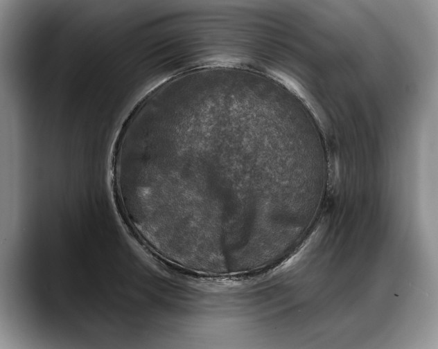 X0000088221042200705292109