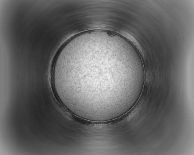 X0000088221043200705292109