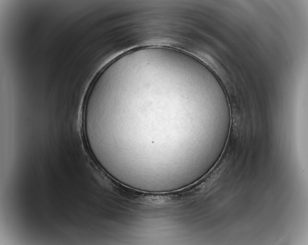 X0000088221044200705292109