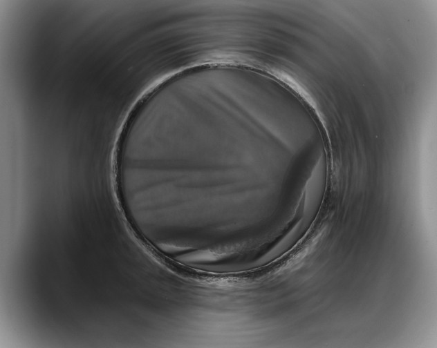 X0000088221045200705292109