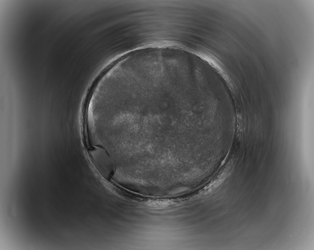 X0000088221046200705292109