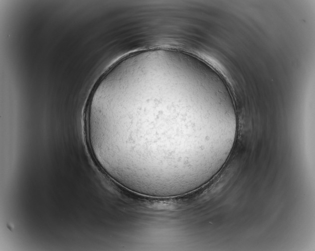 X0000088221047200705292109