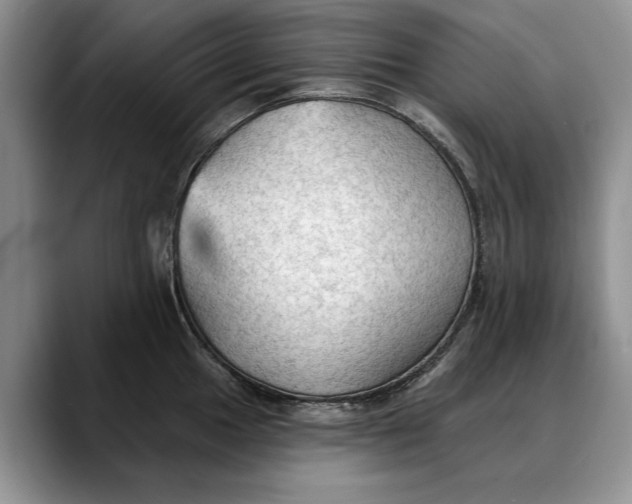 X0000088221049200705292109