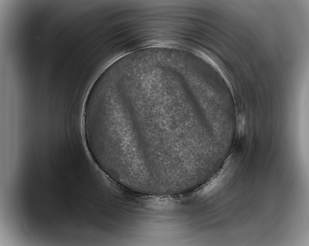 X0000088221050200705292109