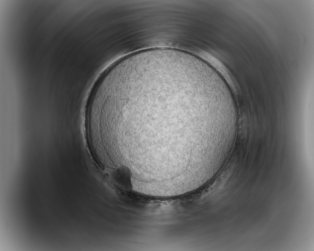 X0000088221051200705292109