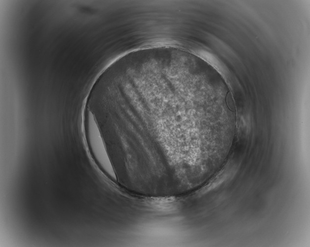 X0000088221055200705292109