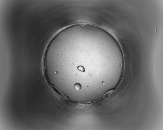 X0000088221056200705292109