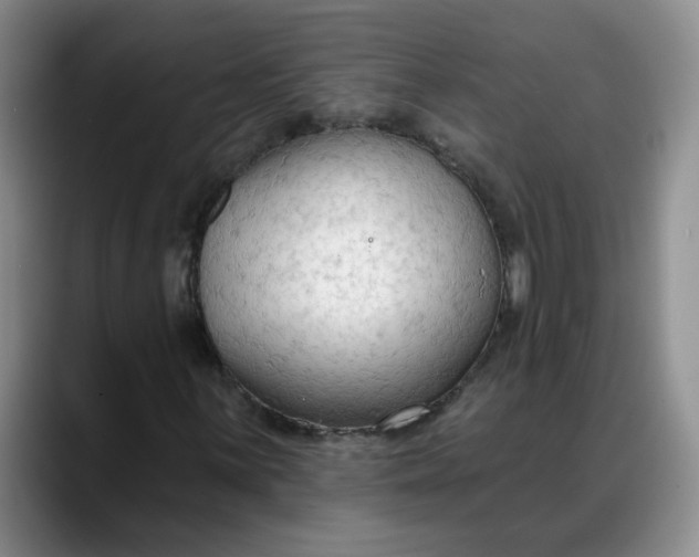 X0000088221059200705292109