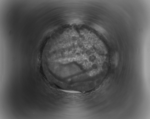 X0000088221063200705292109